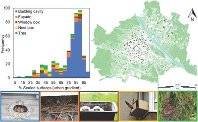 Shifting Breeding Phenology in Eurasian Kestrels Falco tinnunculus: Effects of Weather and Urbanization